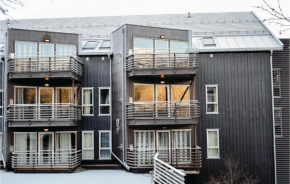 Three-Bedroom Apartment in Hemsedal Hemsedal